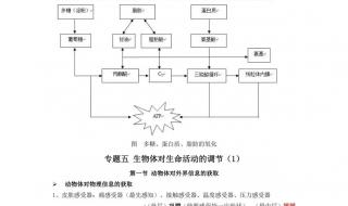 高二生物知识点总结